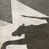 Black and white silver photography early twentieth century