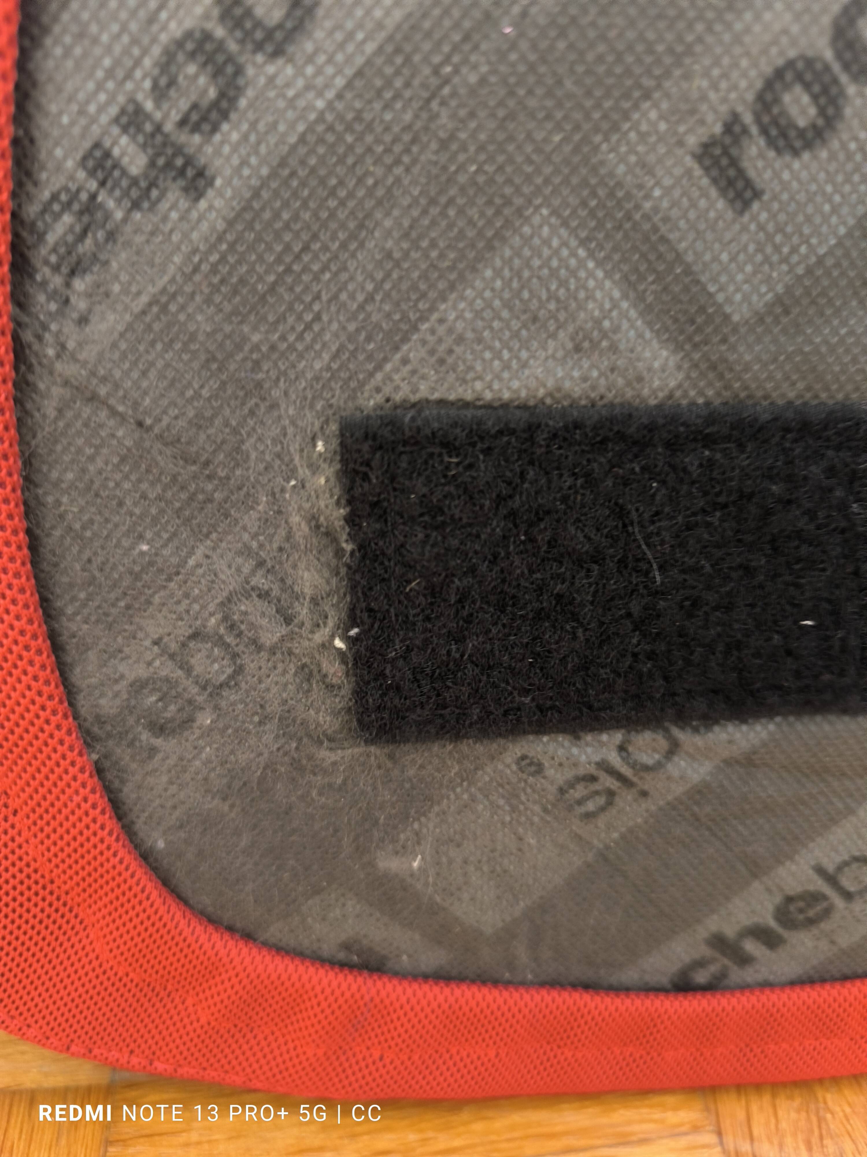 Roche Bobois Arum Chairs