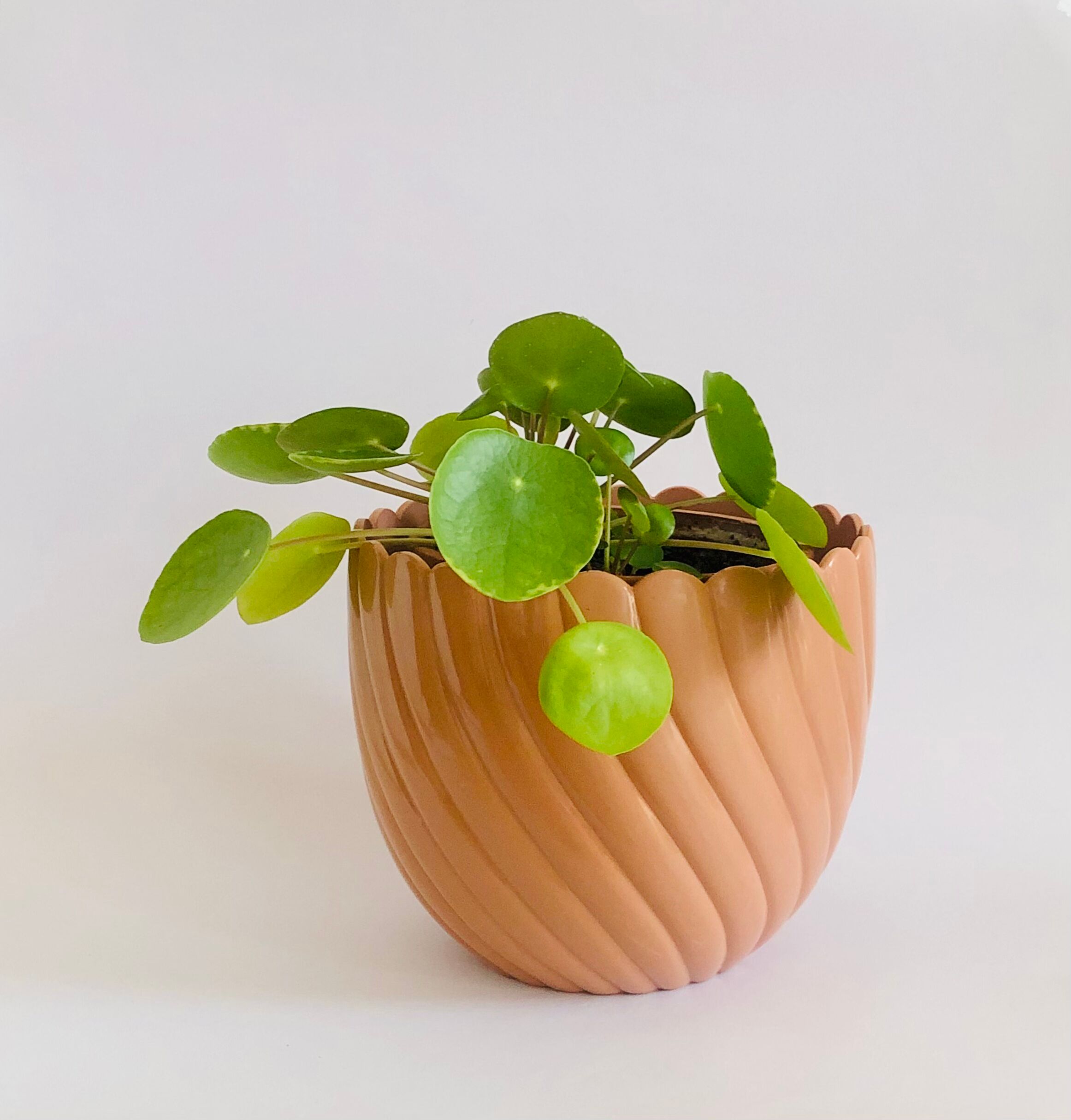 Vintage pot cover Emsa West Germany