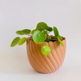 Vintage pot cover Emsa West Germany