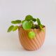 Cache-pot vintage Emsa West Germany