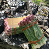 Asparagus serving dish