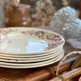 6 flat plates Iron Earth