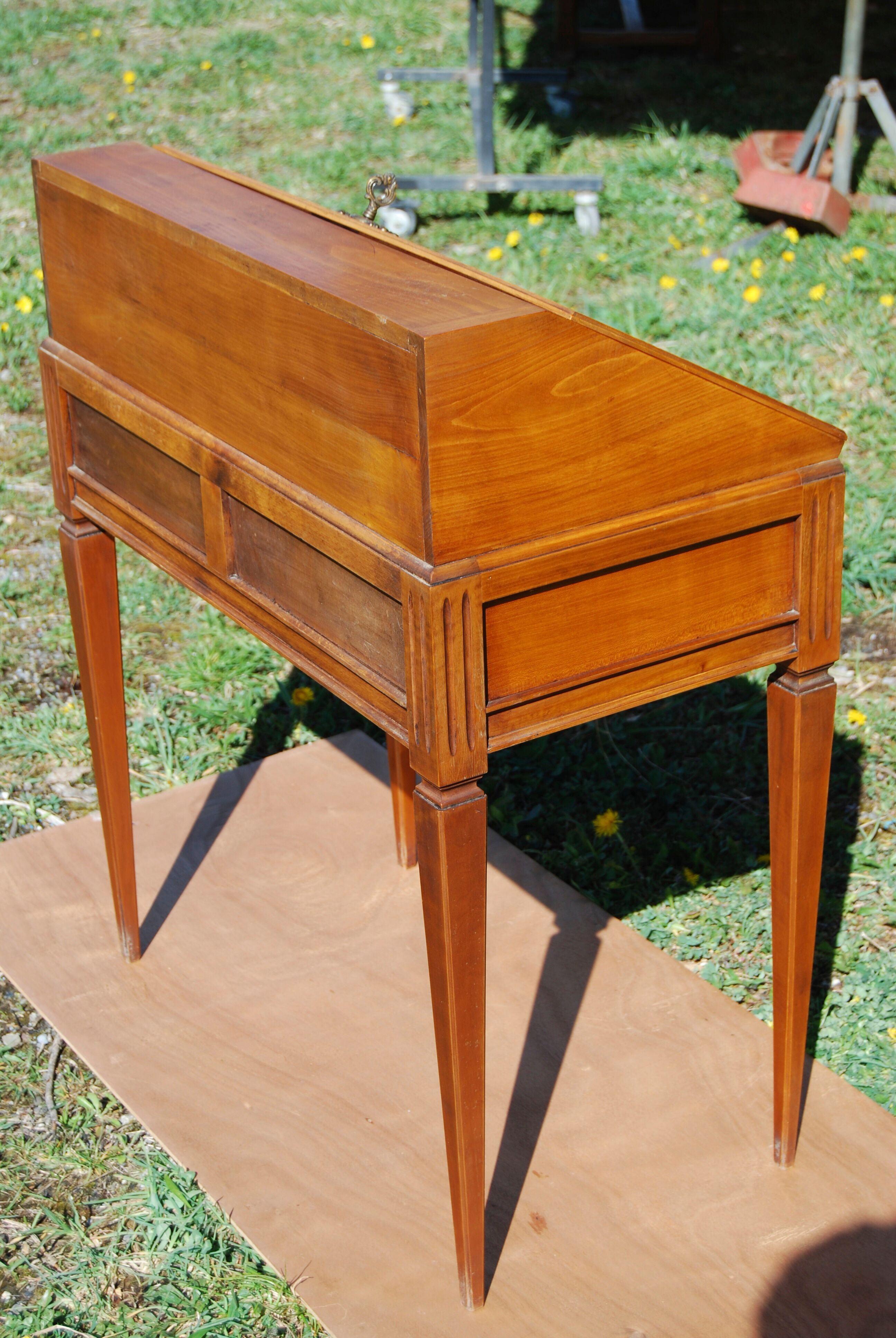 Louis XVI-style donkey back in cherry tree
