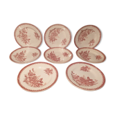 Suite of 8 flat plates St Amandinoise