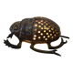 Zoomorphic scarab lamp in glazed ceramic