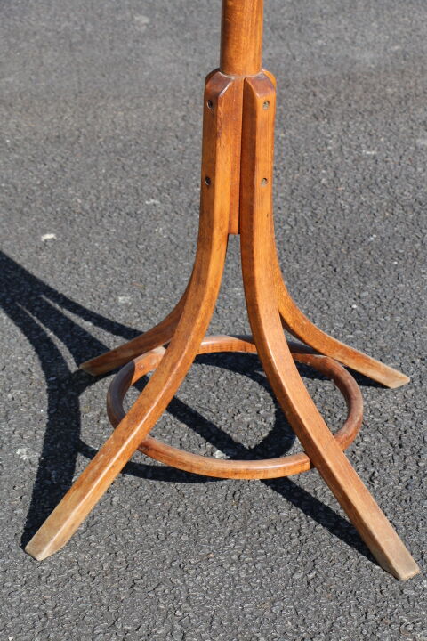 Parrot coat medium baumann beech