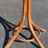 Parrot coat medium baumann beech