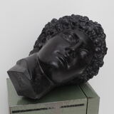 Greek head in waxed black plaster