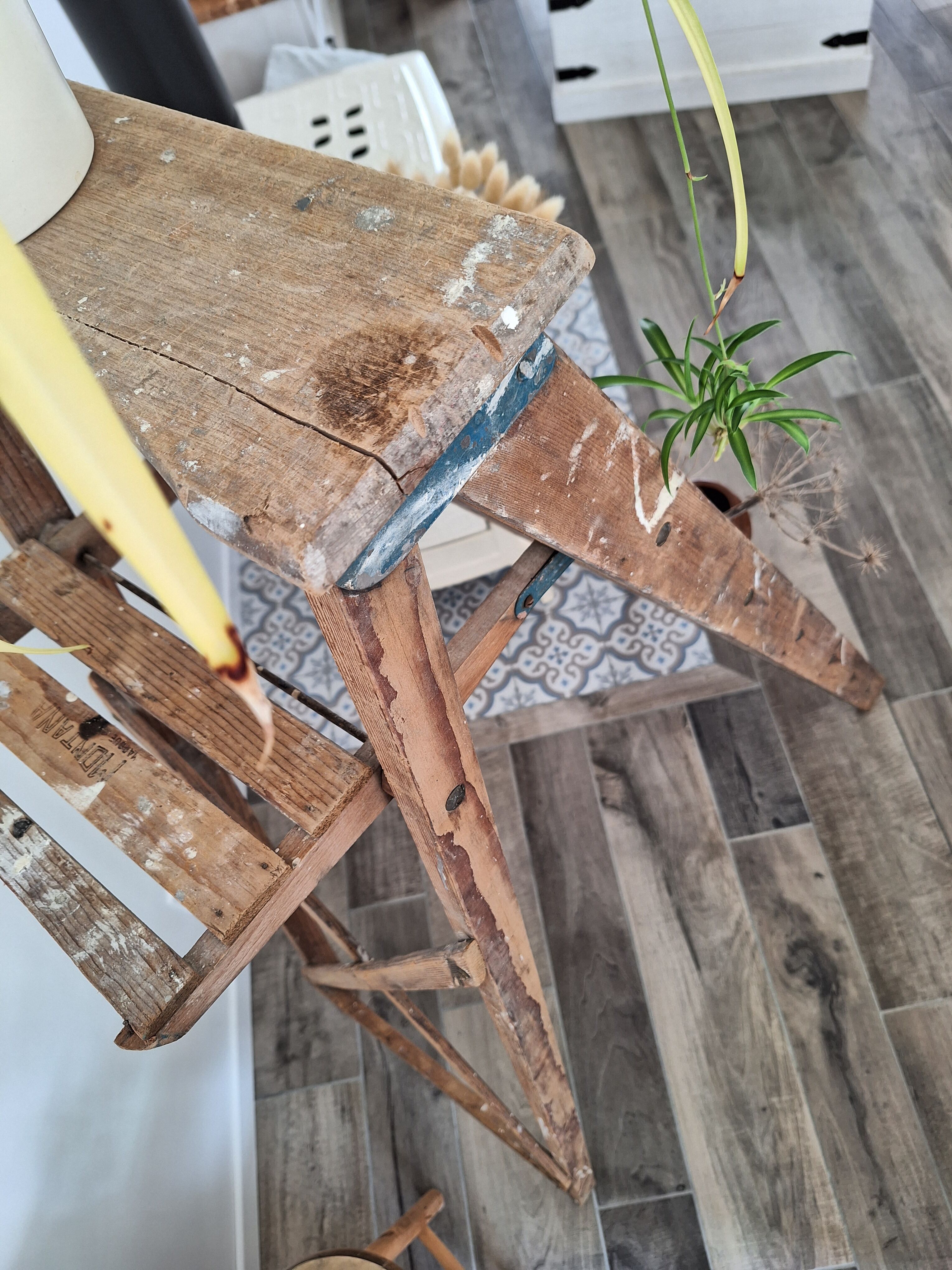 Montana painter's stepladder