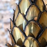 Pineapple lamp