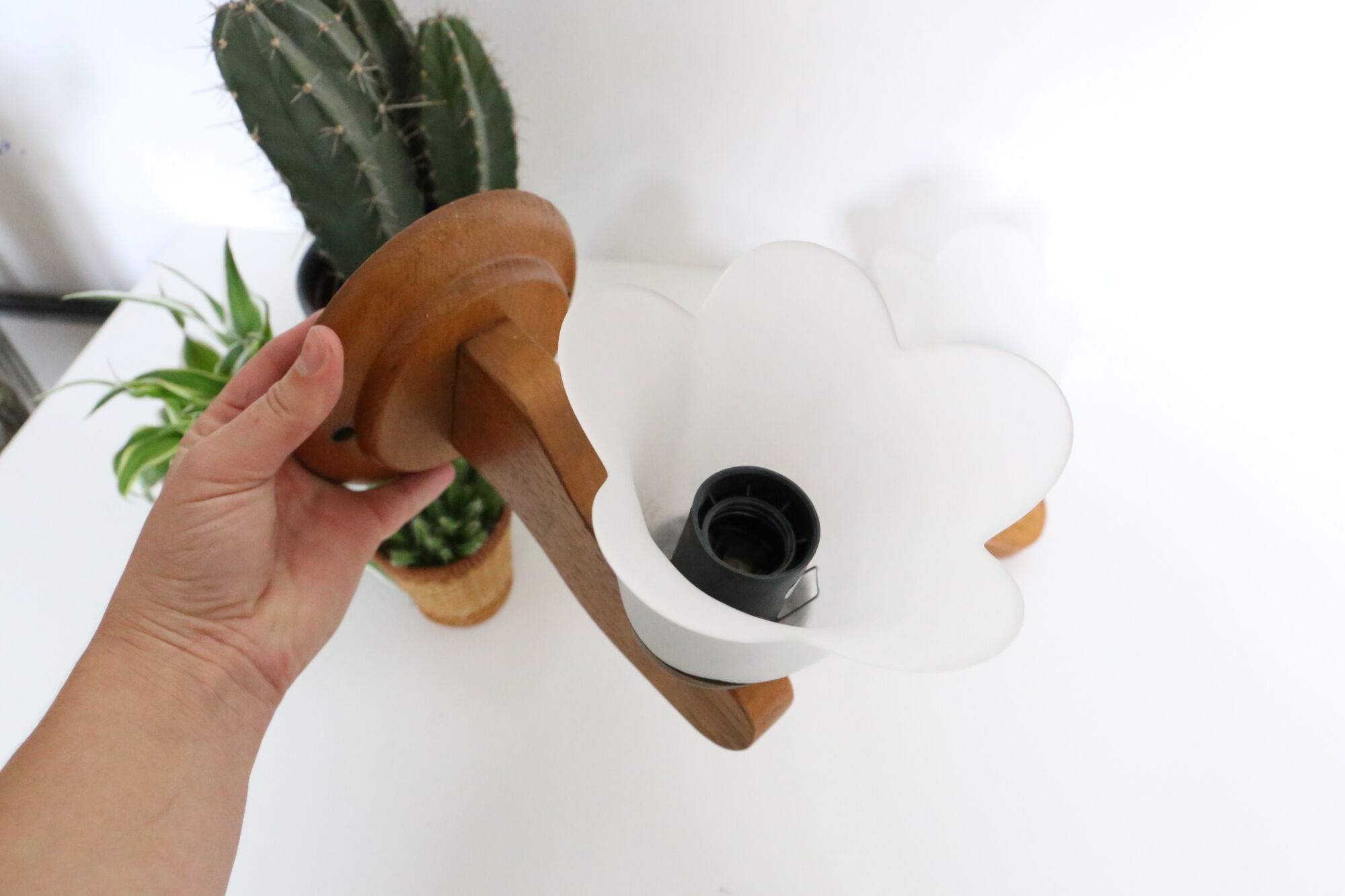 Duo of wooden appliques and tulip globe in scrambled glass, based on brass