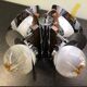 Mazzega Murano Glass Chandelier