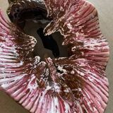 Cup in the shape of pink shell