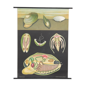 Carte murale vintage