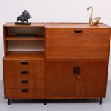Made to Measure cabinet by Cees Braakman for Pastoe, 1960s