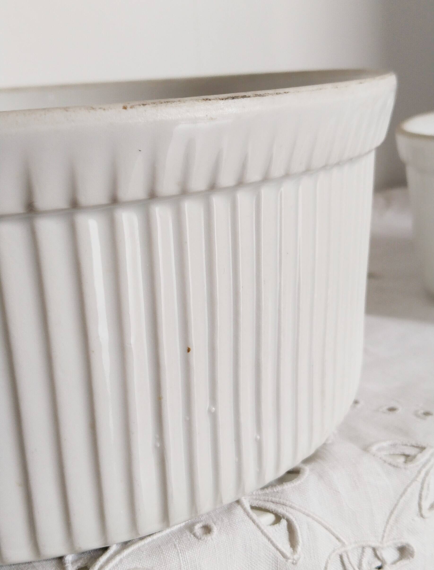 Gusseted dishes, set of 2, Apilco porcelain Pillivuyt