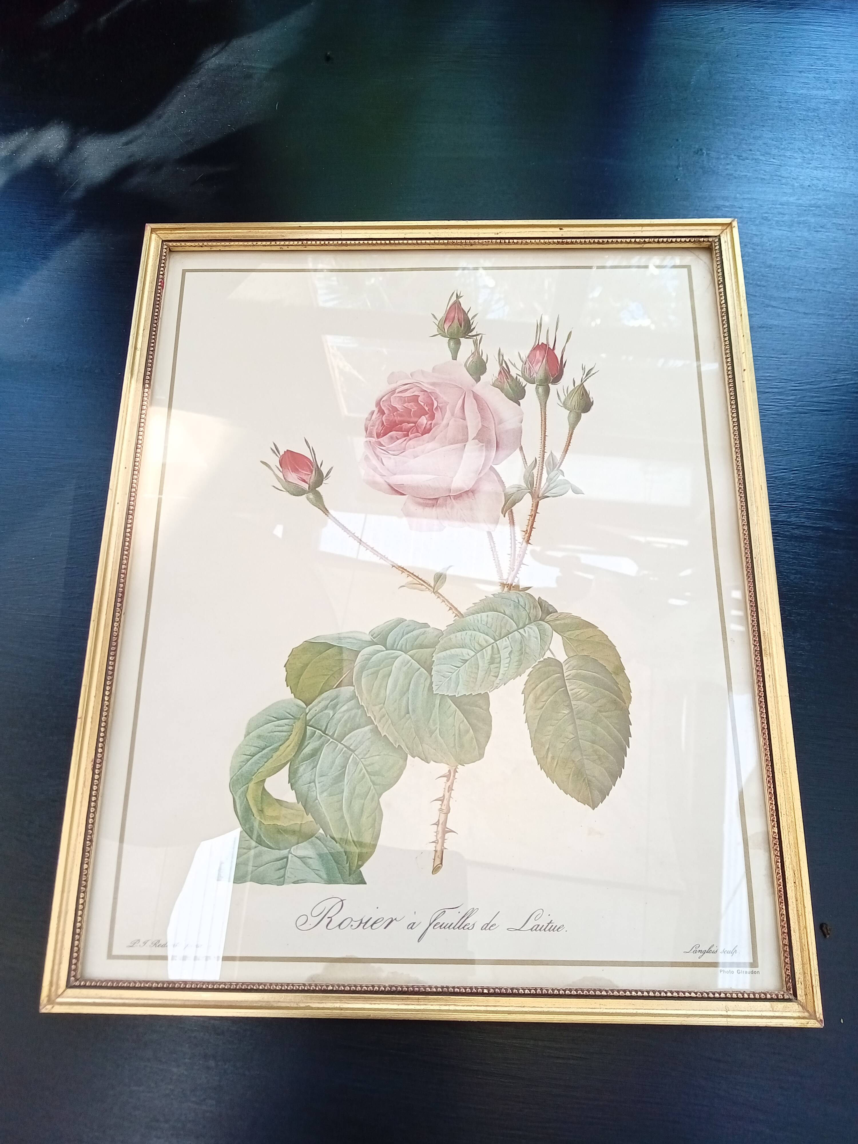 Redouté botanical board