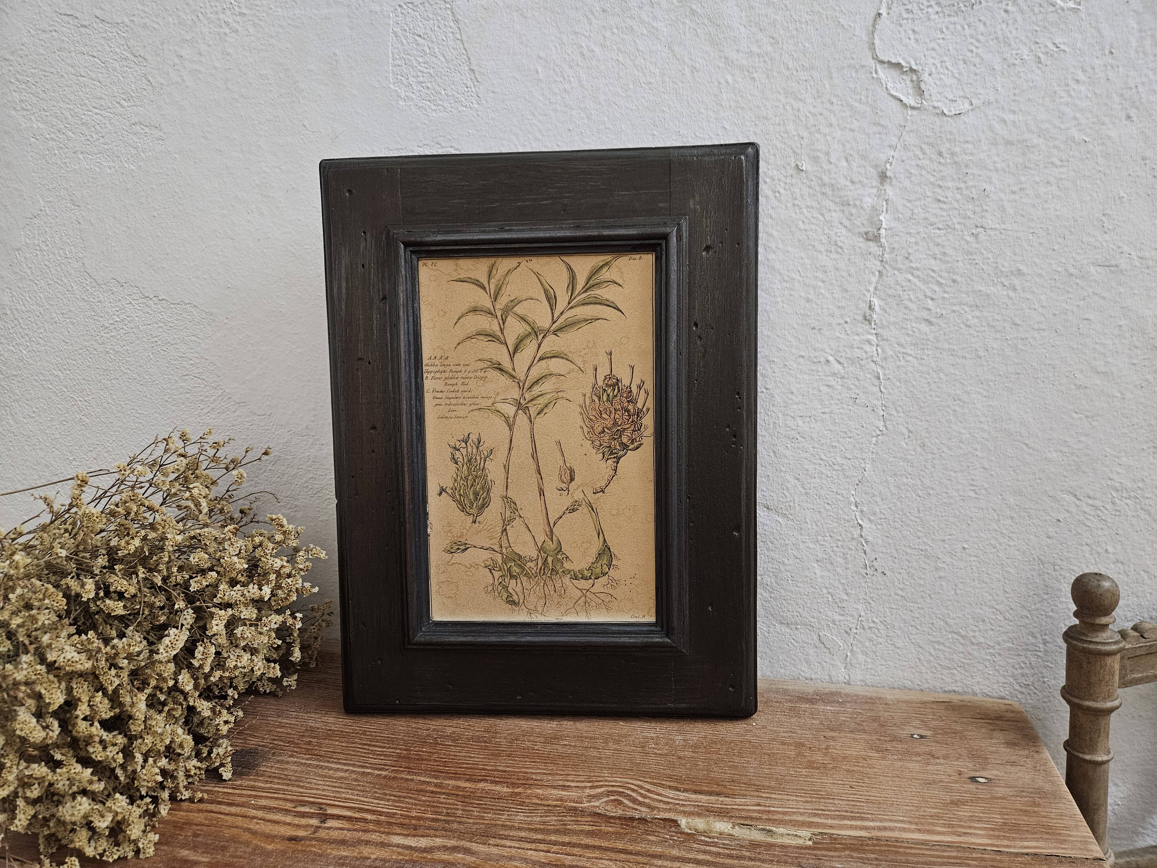 Framed Botanical Board Table