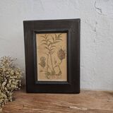 Framed Botanical Board Table