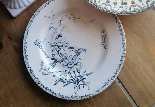 Rare earthenware plate iron earth model Marguerite LG Lunéville / blue transfer / botany