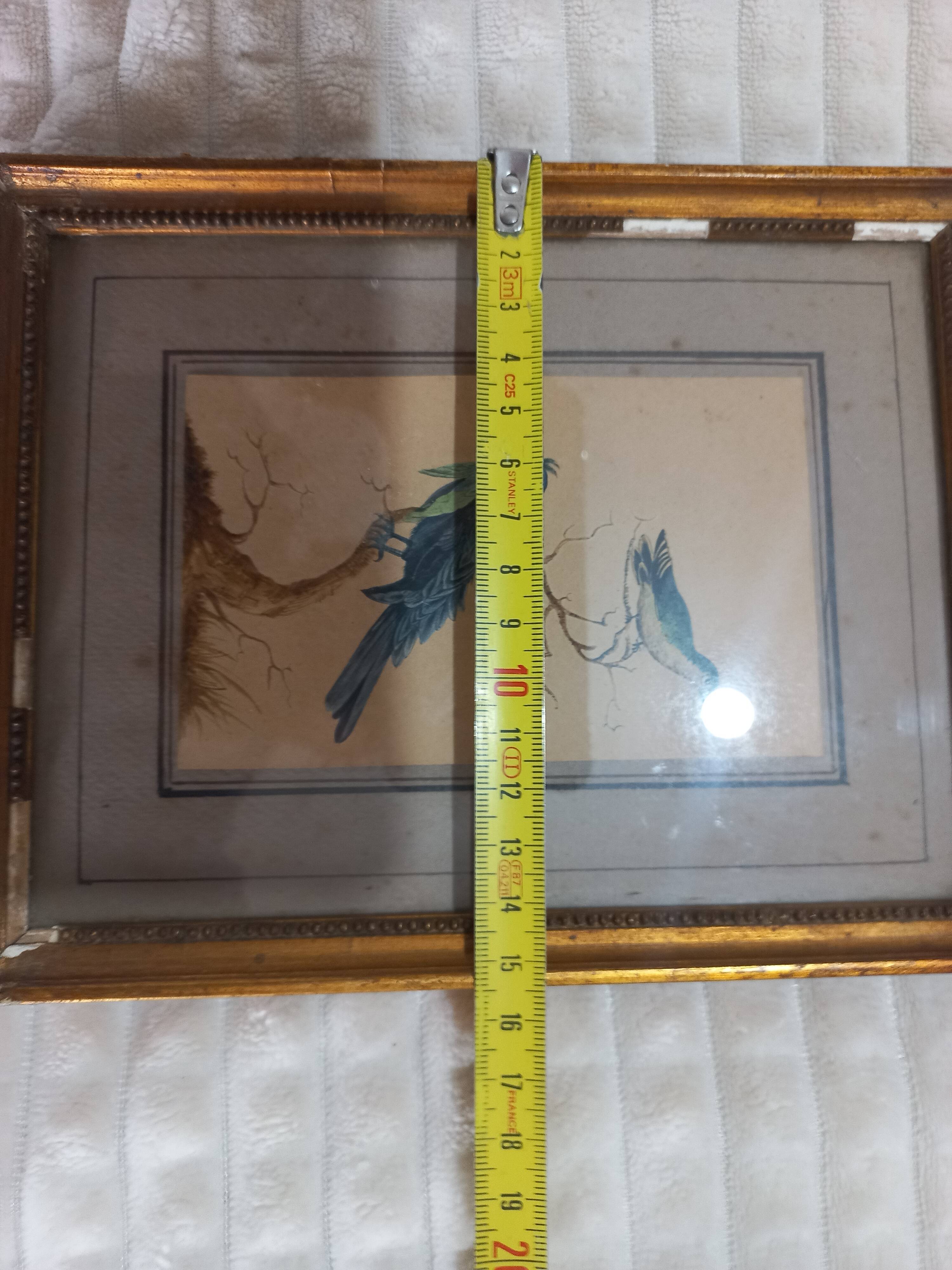 Golden table Blue birds Antique framed, Paris Gallery