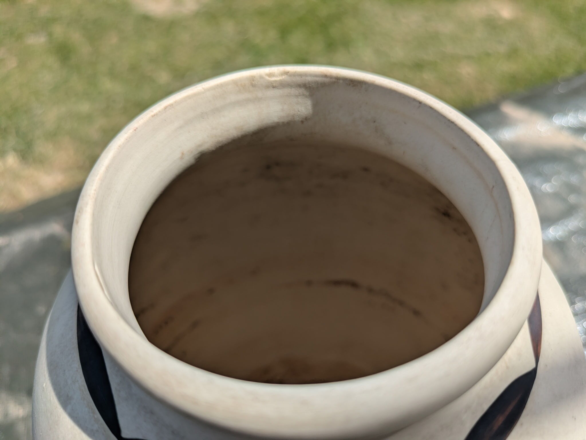 Vase of Ciboure