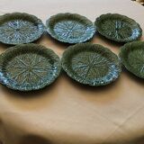 6 plates green slurry cabbage leaf