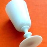 Vase white opaline decoration rosa indica cruenta