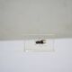 Vintage resin insect