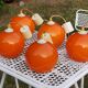Set of 5 orange glass ball pendants from the 70s
