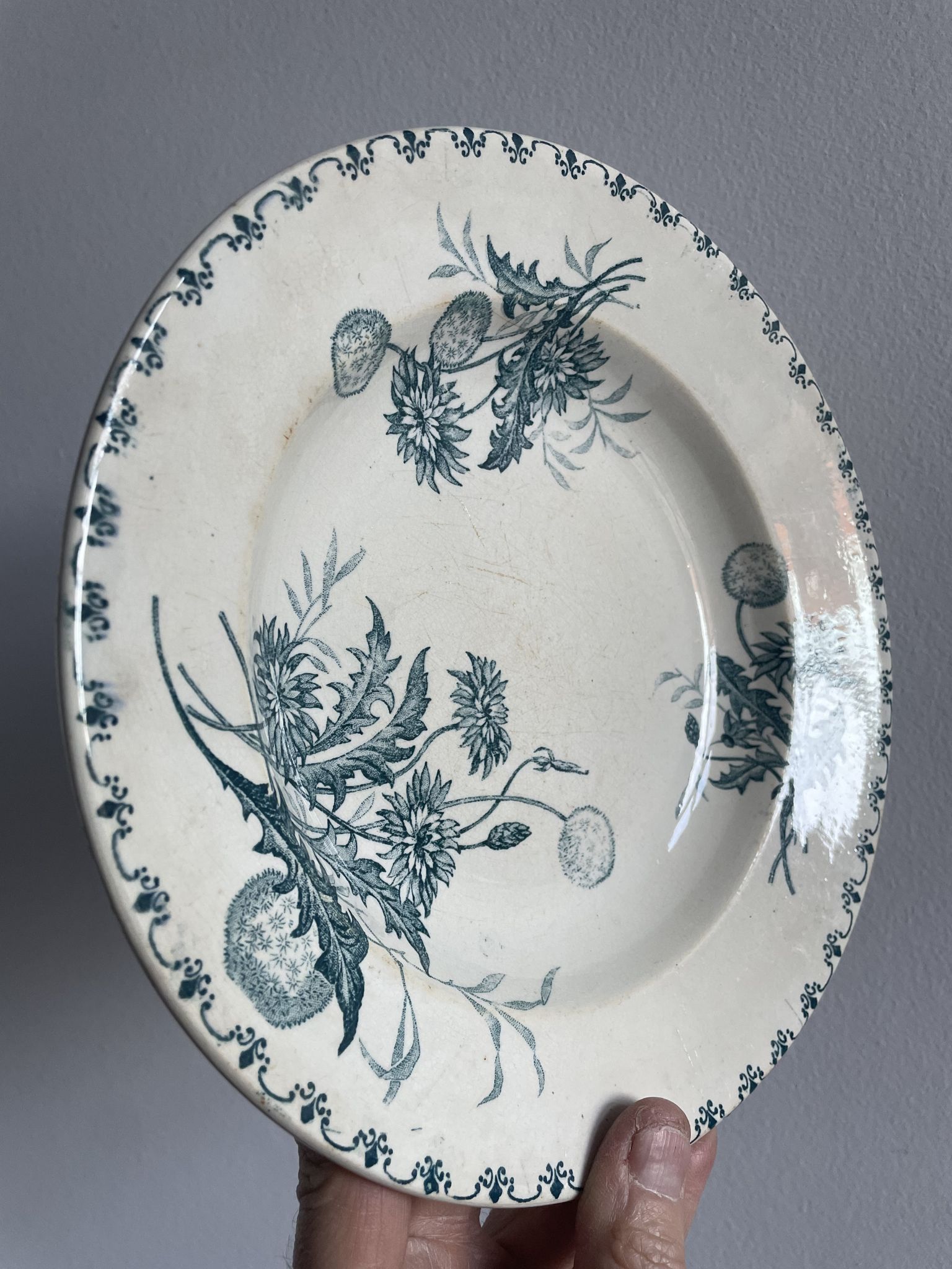 Set of 10 hollow plates Terre de Fer XIXth, model Madrid
