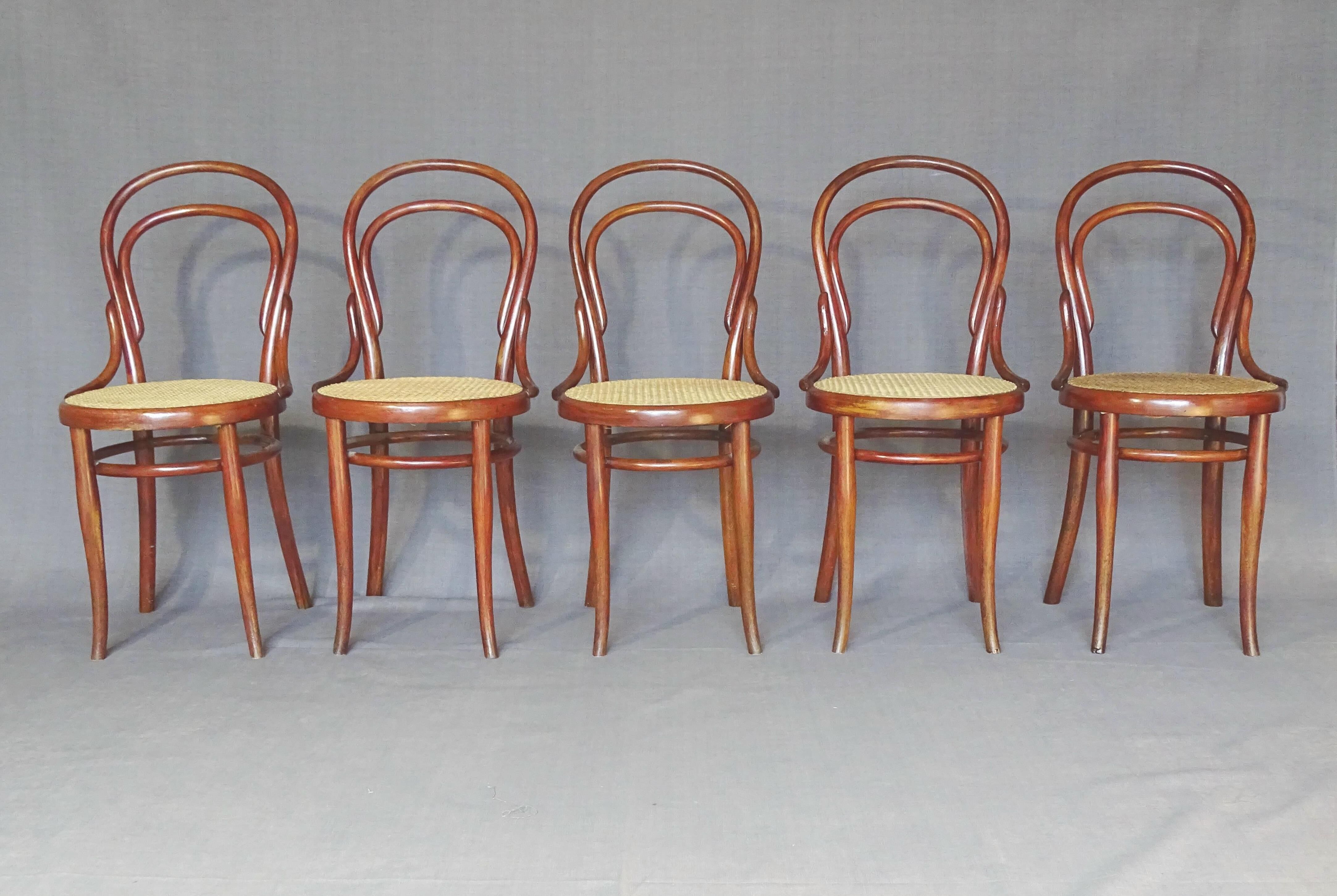 Lot de 5 chaise Thonet bistrot N°14 1/2 cannées