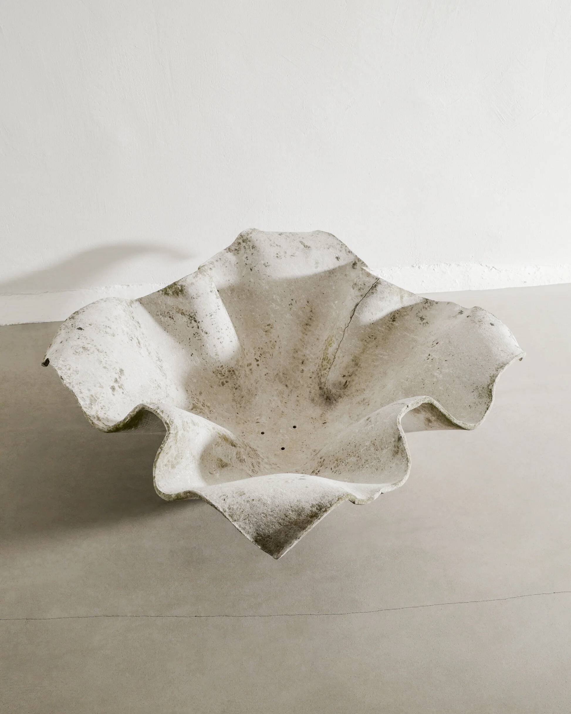 Oversized Mid Century Concrete Handkerchief Planter by Willy Guhl, 1950s