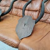 Pair of hunting trophy horn oryx antelope