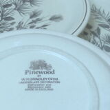 Set of 6 flat english plates