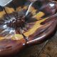 Vintage enamelled ceramic “flower” pocket emptier from the 60s/70s
