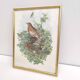 Vintage bird's nest lithograph by J. Gould and H-C Richter golden frame