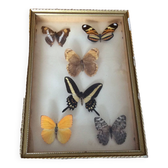Butterfly frame