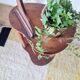 Sellette ancienne en bois - porte-plantes tripode