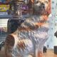 Set of 2 Dog Statues – Staffordshire – Ornament – Vintage Pair