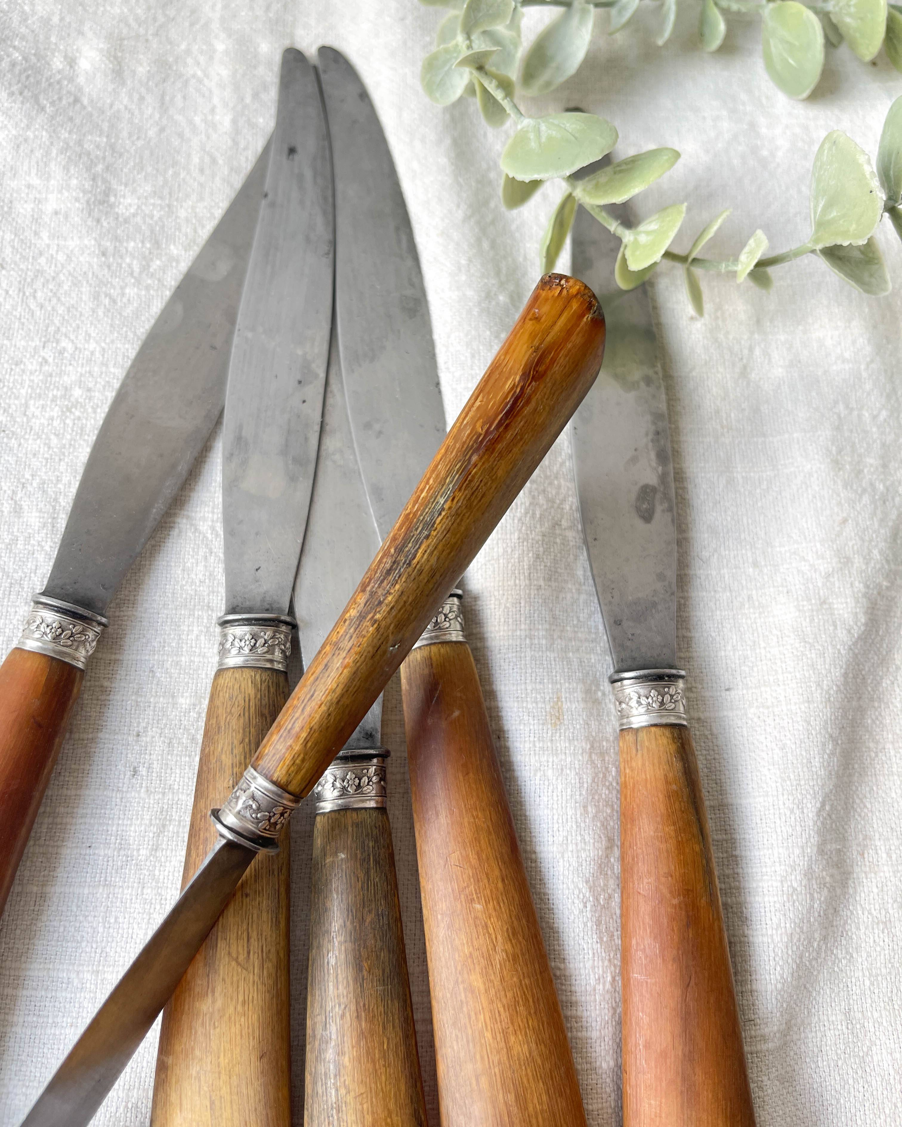 6 Vintage Horn Knives Silver Steel Blade LEPINE A LYON France 19th Century