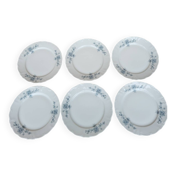 Lot de 6 assiettes plates porcelaine de Bavière Germany Winterling décor myosotis.