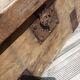 Old wooden box chest
