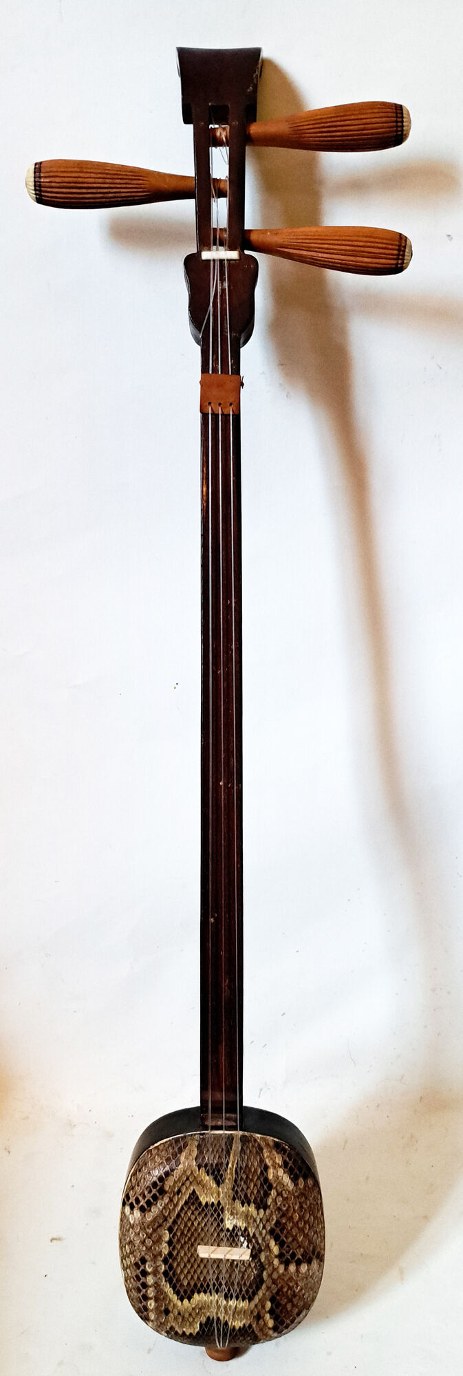Okinawa shamisen sanshi traditional japanese instrument