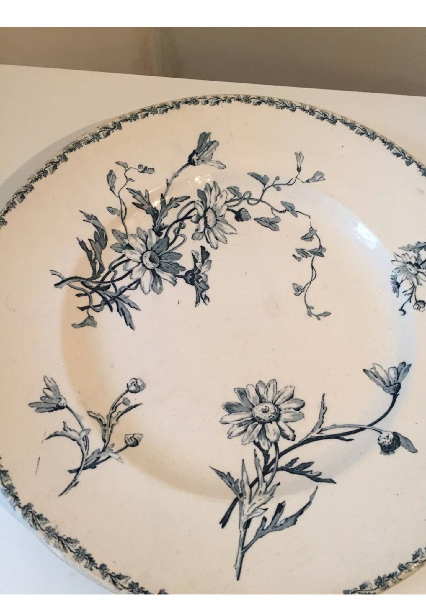 Large round ironstone platter with daisy decoration, KG Lunéville, 19th century