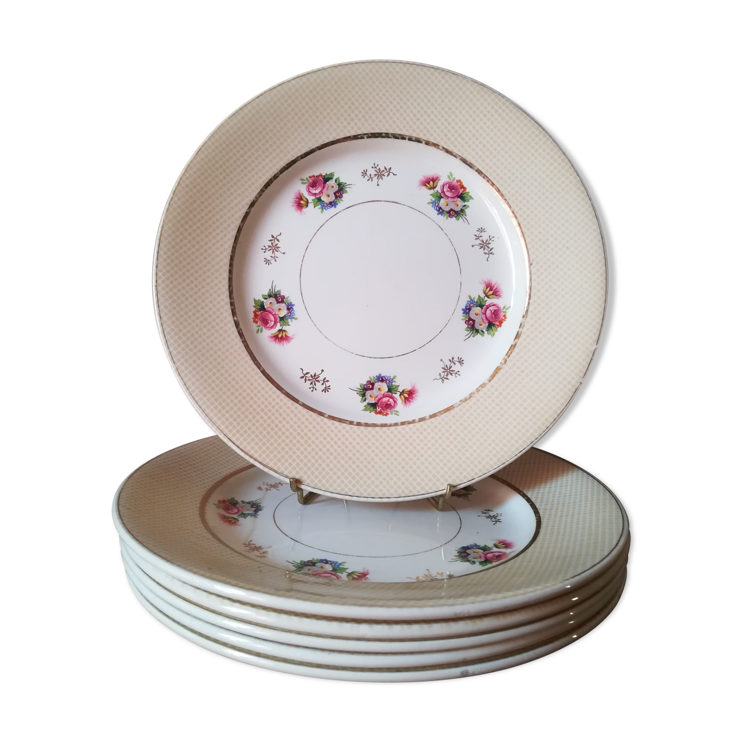 6 earthenware plates by Salins