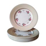 6 earthenware plates by Salins