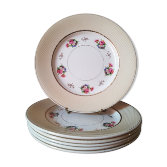 6 earthenware plates by Salins