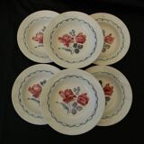 6 deep plates in earthenware digoin sarreguemines. model cannes.